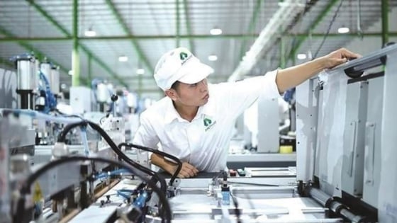 Chính thức về 'chung nhà' với Hải Phòng, Hải Dương 'mang theo một gia tài' xanh quan trọng