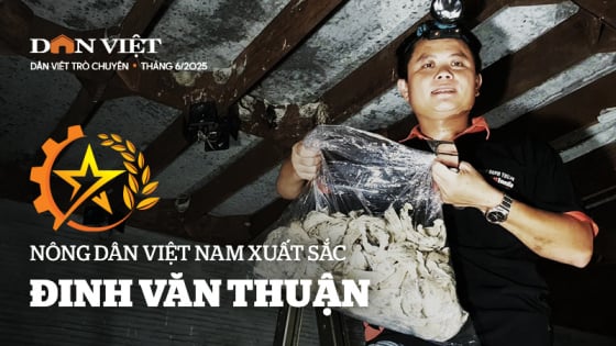 Nông dân Việt Nam xuất sắc Đinh Văn Thuận - người từ bỏ 'thế giới số' và bén duyên với đàn chim yến