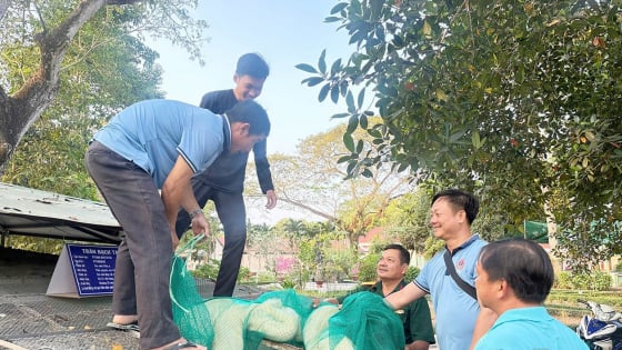 Cận kề giờ sáp nhập tỉnh Đồng Tháp, ở Tiền Giang có một con trăn to dài, người ta đến xem