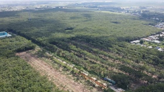 Đồng Nai kiến nghị thu hồi quỹ đất của ngành cao su để làm dự án