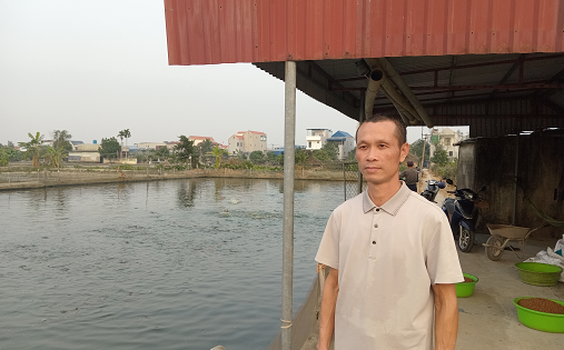 6 ngày nữa là sáp nhập tỉnh Ninh Bình, Hà Nam, Nam Định có tỷ phú nuôi cá đặc sản, bán 1.300 tấn/năm