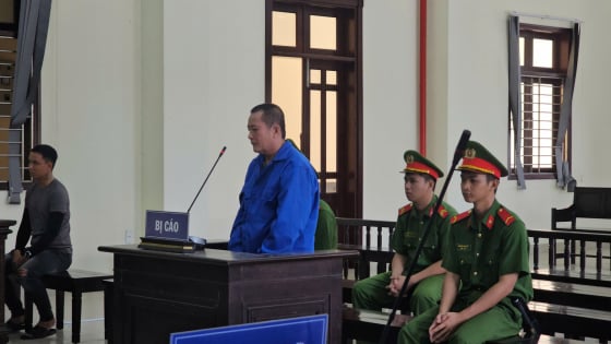 Anh trai sát hại em ruột lĩnh án