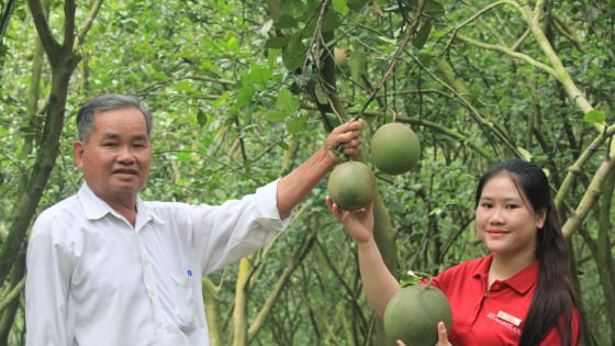 Khánh Hòa: Agribank dẫn vốn cho nông dân huyện Khánh Vĩnh làm giàu