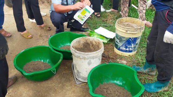 TP.Hải Phòng phát triển thử nghiệm mô hình 'cánh đồng công nghệ', ngay sát giờ chính thức sáp nhập với Hải Dương 