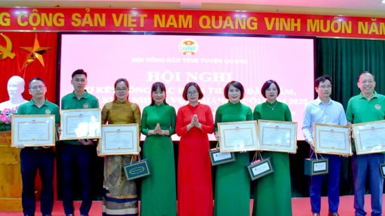 Hội Nông dân tỉnh Tuyên Quang: Khẳng định vai trò nòng cốt bằng những hành động thiết thực