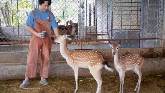 Nuôi con động vật hoang dã 'nhú mầm đại bổ' trên đầu, trai Gia Lai tự trả lương cao