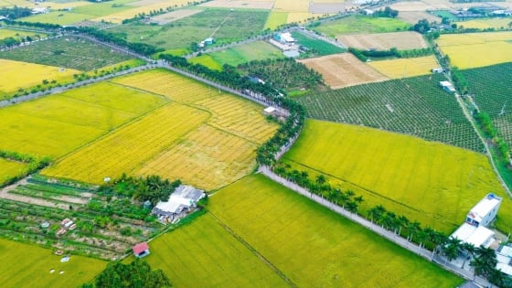 Từ con lộ sình lầy đến con đường hạnh phúc nổi tiếng miền Tây: Chuyện của vùng quê nghèo nhất tỉnh (Bài 1)