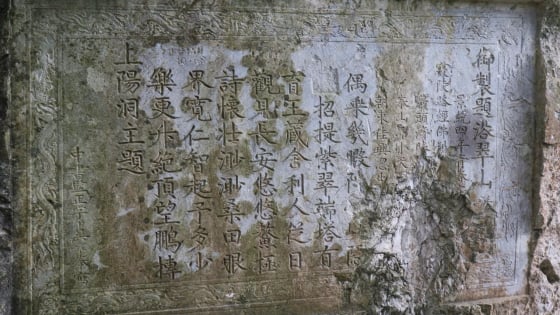 Ở tỉnh Ninh Bình mới có báu vật nghìn năm “so vai” cùng di sản thế giới, chờ ngày vươn tầm UNESCO