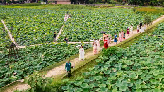 Ở tỉnh Ninh Bình mới có một cánh đồng trồng thứ hoa 'quốc dân' đẹp như phim, dân tình ra gồng gánh mà ai cũng mê tít