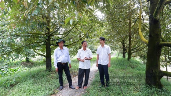 Một số phương pháp hạn chế, loại bỏ Cadimi trong đất và nông sản