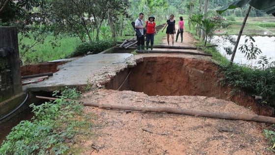 Lào Cai chạy đua với thời gian, khẩn trương cứu hàng trăm hecta lúa vụ mùa 2025 sau lũ