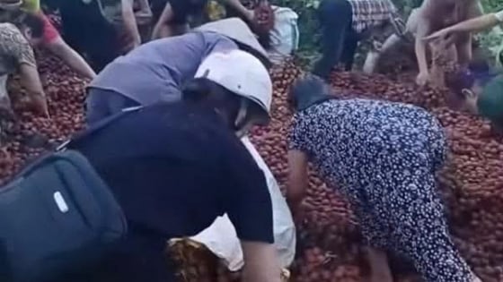 Vụ xe tải gặp nạn, hàng tấn vải rơi ra đường, người dân nhặt gần hết: Chủ xe đã nhận được khoảng 40 triệu đồng 