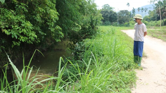 Sau phản ánh của Báo Dân Việt về 'Dòng suối ở Tuyên Quang oằn mình cõng xác lợn chết, người dân bất lực vì mùi hôi thối', chính quyền địa phương quyết liệt xử lý