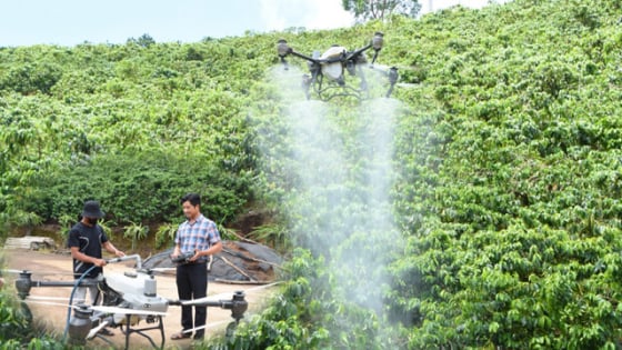 Nông dân vùng biên Quảng Ngãi mạnh dạn chi tiền mua máy bay không người lái phục vụ sản xuất nông nghiệp