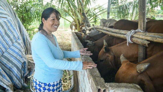 Khánh Hòa: Vốn chính sách giúp người dân thoát nghèo bền vững