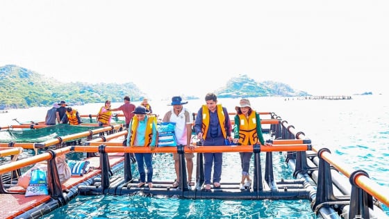 Ra biển Khánh Hòa thấy dân nuôi cá to bự trong cái lồng khổng lồ, 10 người xem cả 10 người trầm trồ