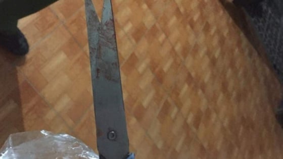 Truy bắt nghi phạm dùng kéo sát hại mẹ vợ