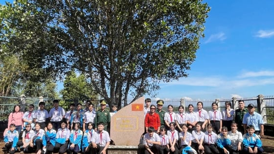 Một cây mít vùng biên giới tỉnh Lâm Đồng mới có gì đặc biệt mà cả làng dựng rào bảo vệ?