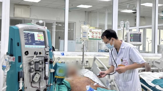 Nhiều người Việt bất chấp nguy hiểm, đánh đổi cả sinh mệnh vì món ăn khoái khẩu khó bỏ này 