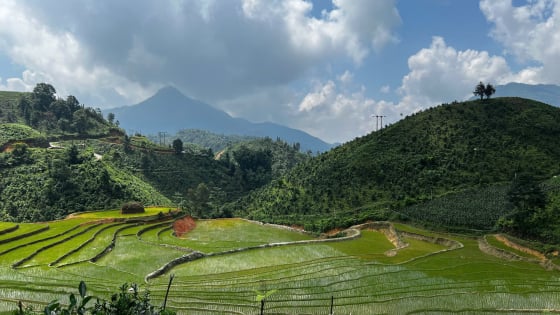 Du khách ùn ùn đổ về làng nhỏ Lào Cai mới sau 1 chương trình truyền hình: Người đầu tiên “book” phòng tiết lộ lý do bất ngờ