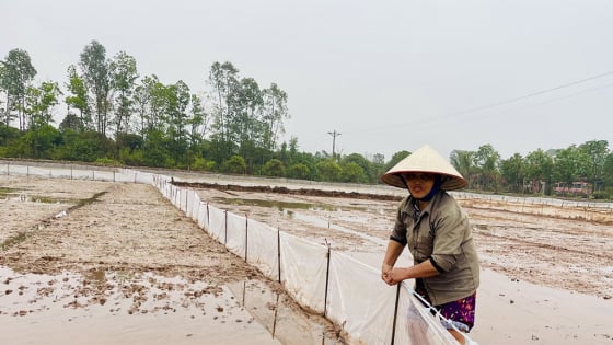Cảnh báo khẩn cấp một hành vi nguy hiểm liên quan đến con động vật quái ác này ở tỉnh Hưng Yên mới