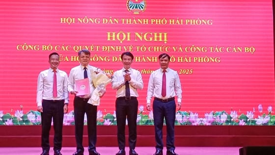 Ngày thứ 16 sau sáp nhập Hải Dương, Hội Nông dân TP Hải Phòng công bố các quyết định về tổ chức, công tác cán bộ
