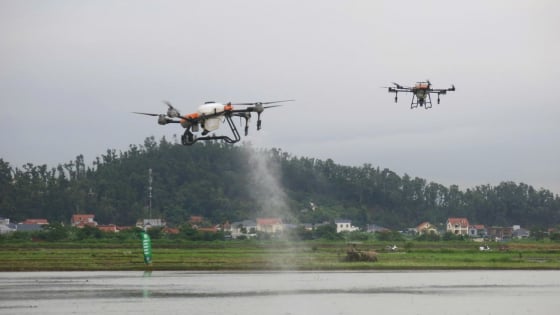 Cánh đồng trồng lúa dùng công nghệ chính xác Dtails ở TP Hải Phòng có gì đặc biệt mà khiến cả làng trầm trồ?