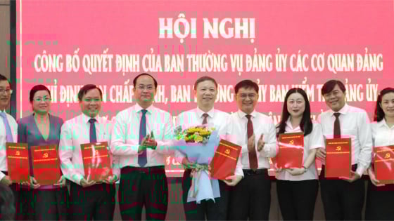Ông Dương Anh Đức giữ chức Bí thư Đảng ủy cơ quan Ban Tuyên giáo và Dân vận Thành ủy TP.HCM