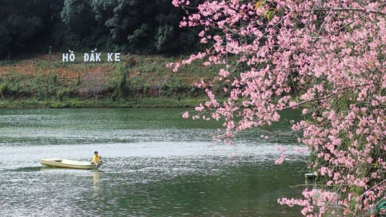 Có một nơi vô cùng thú vị ở tỉnh mới miền Trung: Du khách sáng đắp chăn, chiều lại cà phê giữa rừng