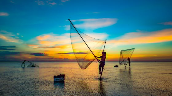 Biển vô cực Hưng Yên bước vào mùa đẹp nhất