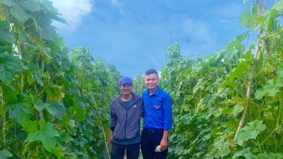 Thạc sỹ bỏ phố về quê biển Lâm Đồng (mới), biến thứ ngỡ vứt đi thành hàng cao cấp, bán sang Mỹ, cả làng phục lăn
