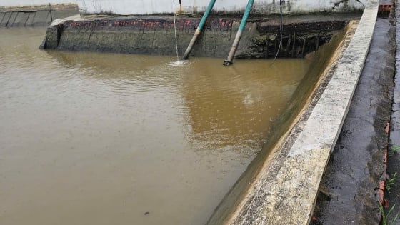 Trước thềm bão số 3, một nhà máy nước ở Hải Phòng thông báo tạm dừng cấp nước sinh hoạt cho người dân