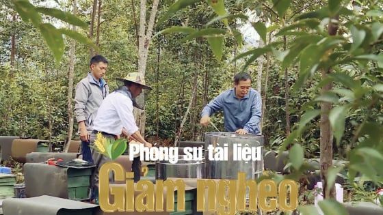 Người dân vùng cao thoát nghèo nhờ loại “mật trắng” đặc biệt