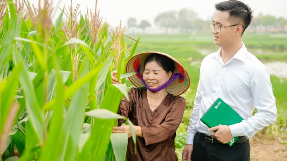 'Tấm khiên kinh tế' mùa bão lũ: Cần chính sách, hành lang pháp lý rõ ràng để bảo hiểm tiếp cận nông dân và người yếu thế