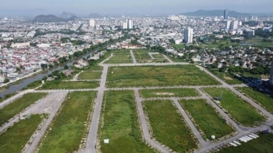 Thị trường đất nền chững lại sau cơn sốt sáp nhập từ đầu năm