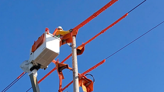PC Đắk Lắk: Tăng cường sửa chữa điện nóng trong các tháng cao điểm nắng nóng