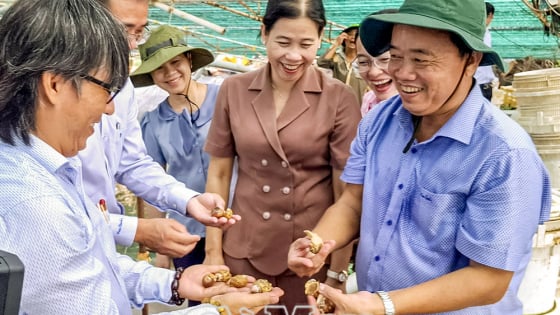 Chán con tôm, ở tỉnh Cà Mau xuất hiện 2 mô hình bạc tỷ, nông dân đang truyền tai nhau đến học hỏi