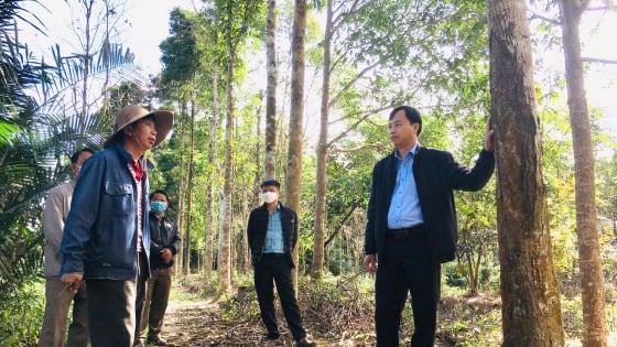 Sử dụng đất ở các công ty nông nghiệp, cho hộ nhận khoán thành cổ đông là một đề xuất