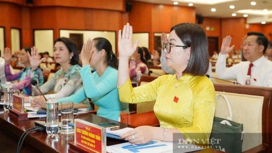TP.HCM: “Không để cơ quan nhà nước thành nơi trú ngụ an toàn cho người yếu kém”