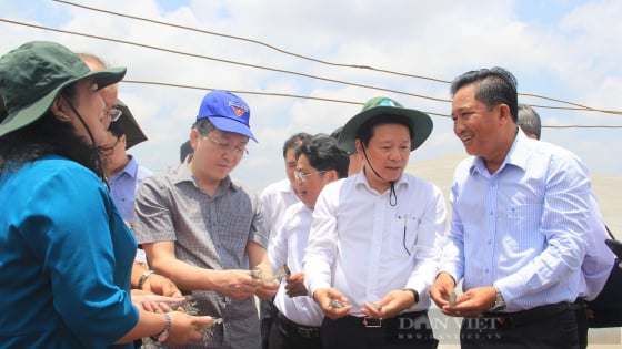 Nông dân là chủ thể, nông nghiệp là thước đo độ bền quốc gia