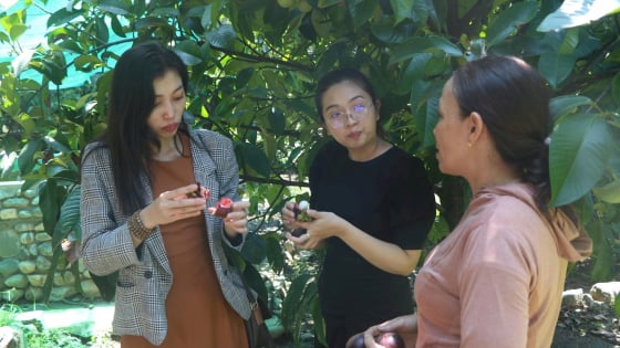 Một xã của tỉnh Khánh Hòa mới ở độ cao 1.600m, vô vườn ăn sầu riêng chín cây, thảo nào người ta đang đến đây