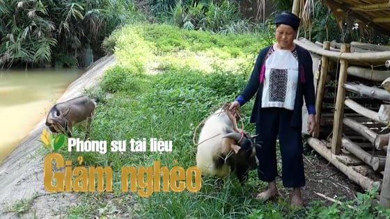 Tín dụng chính sách – Đòn bẩy giúp người dân Lào Cai giảm nghèo bền vững