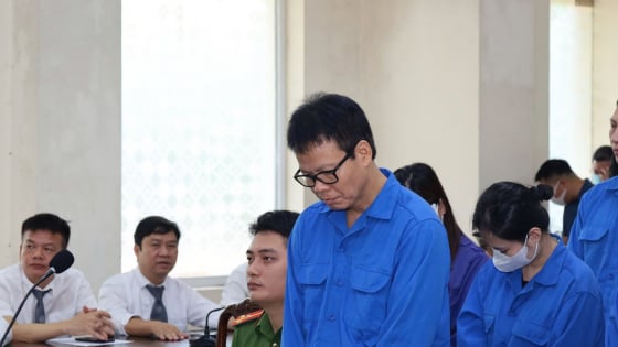 Nguyên Tổng Biên tập Tạp chí Môi trường và Đô thị lĩnh án 13 năm 6 tháng tù, có bị cáo được trả tự do tại toà
