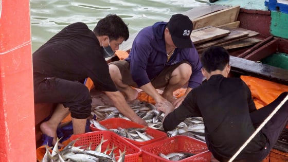 Ngư dân Hà Tĩnh trúng đậm 'lộc biển', cá tôm đầy khoang, cảng cá nhộn nhịp sau mưa bão
