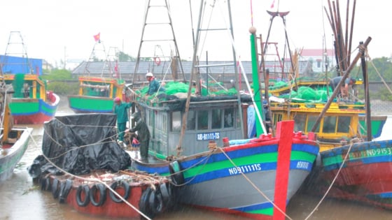Ông Trần Anh Dũng, Phó Chủ tịch UBND tỉnh Ninh Bình được bổ nhiệm làm Trưởng ban chỉ đạo chống IUU
