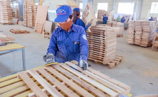 Phú Tài lãi đậm trong quý II, dự phòng 84% khoản nợ khi Noble House phá sản