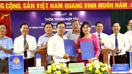 Hội Nông dân tỉnh An Giang tăng cường hợp tác hỗ trợ vốn vay không thế chấp cho nông dân