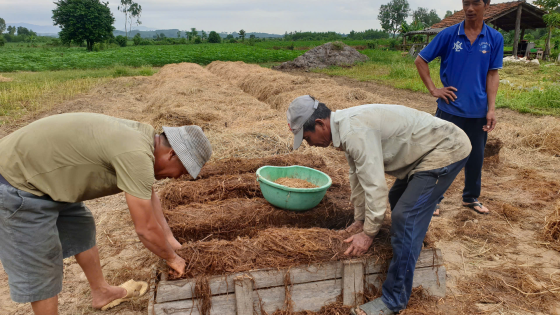 Chất thứ này ngoài đồng, dân Đắk Lắk 'gặt' loại rau ăn bổ dưỡng, bán hút hàng