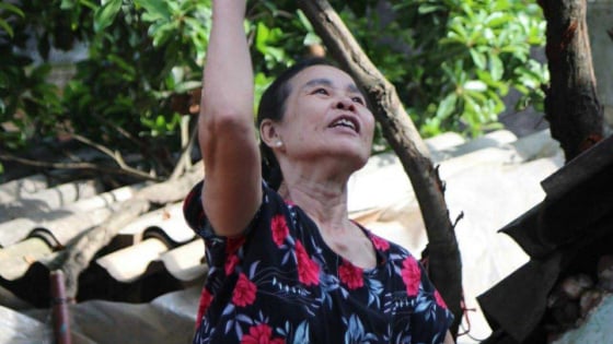Bài dự thi 'Việt Nam trong tôi': Đất nước chuyển mình trong mắt mẹ tôi