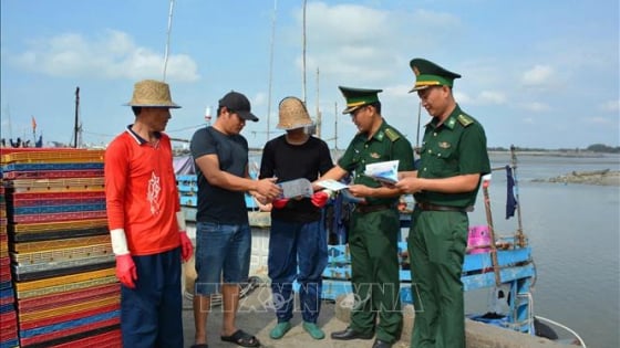 Đội tàu đánh cá lớn nhất TP Hồ Chí Minh vừa được tuyên truyền chống khai thác IUU